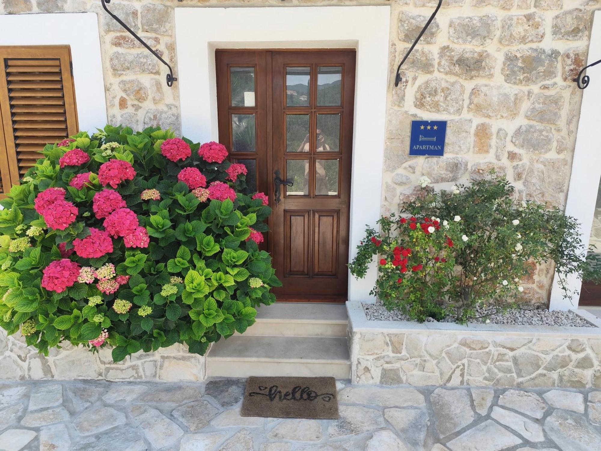 Apartment Mistral - Cosy Apartment With Sea View Molunat Exterior foto